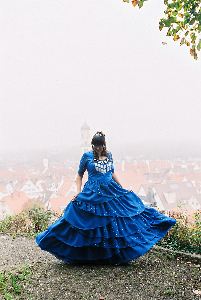 TARDIS-Brautkleid